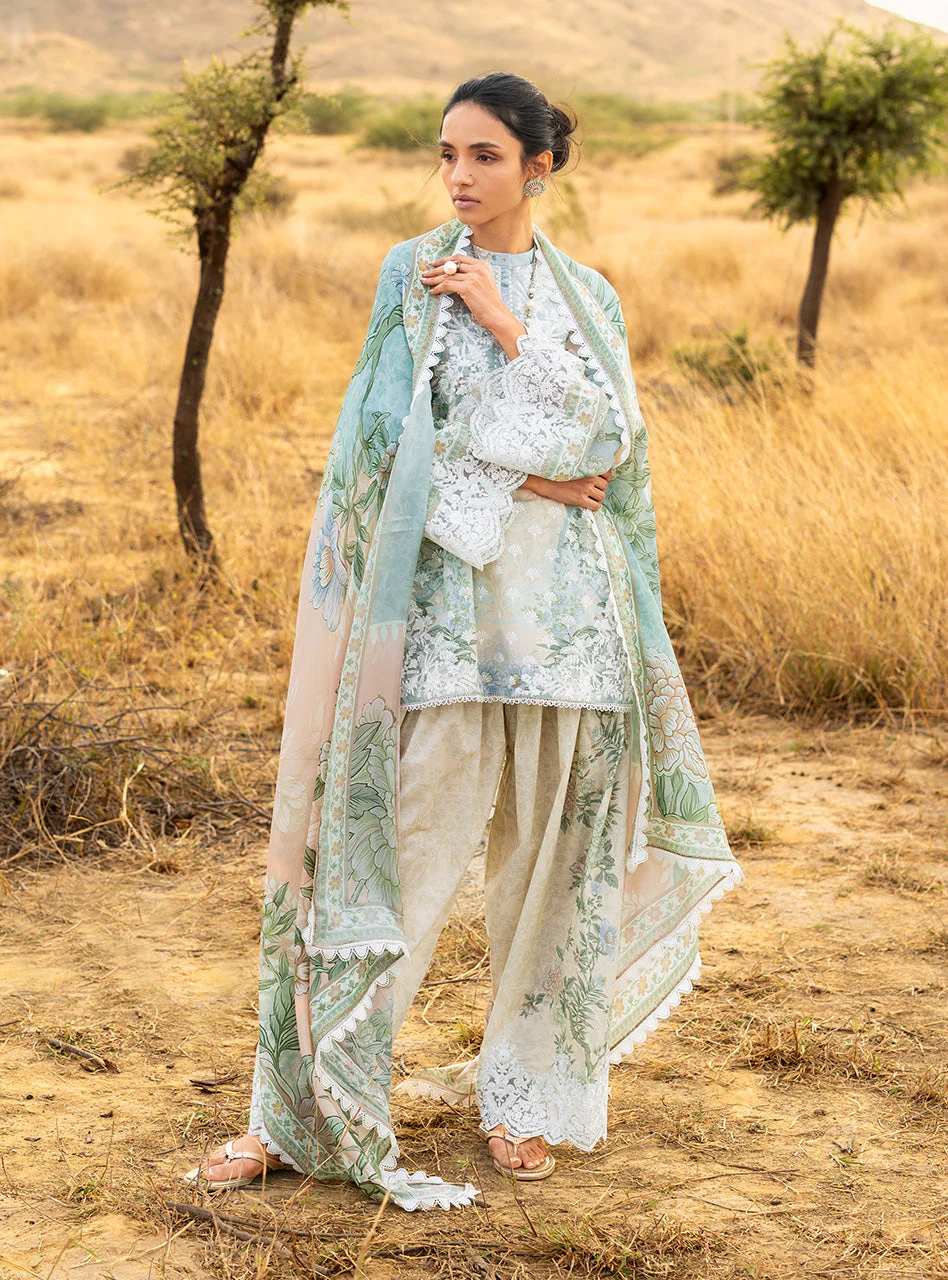 Spring Summer Collections - Image 4